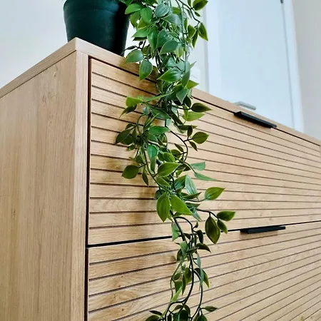 Loira Coso, Centro Con Amplia Terraza Appartamento Saragozza